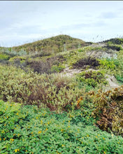 Load image into Gallery viewer, 'Dunes' Large Oceanic Tapestry