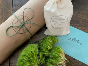 Gift Wrap